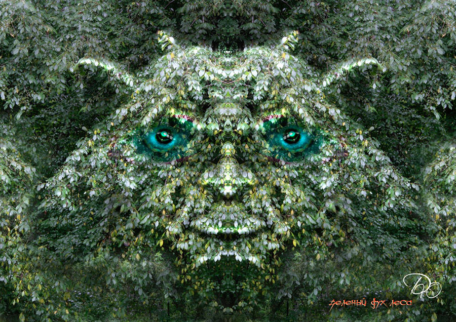 зеленый дух леса