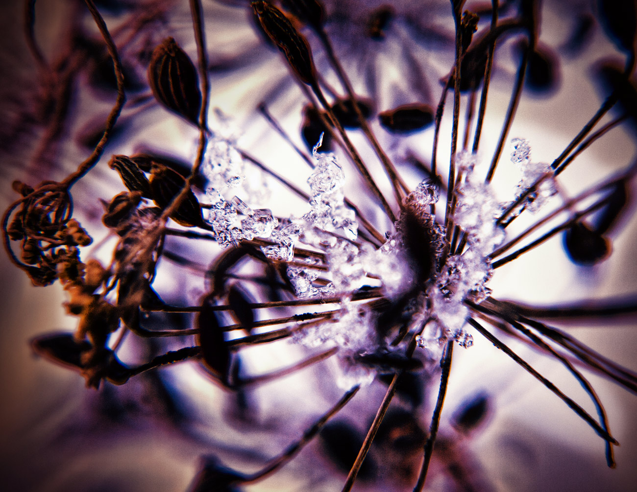 Первоснежье