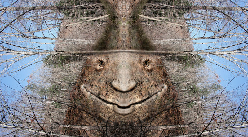 страшила мудрый