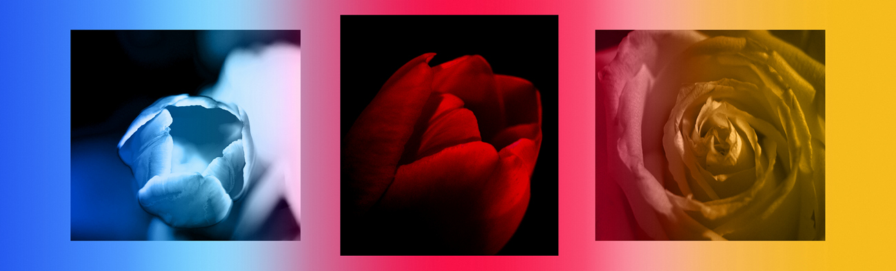 С праздничком!!!