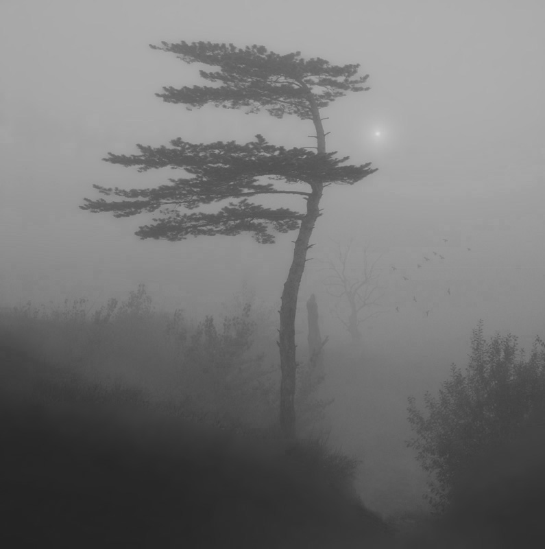 остров туманов