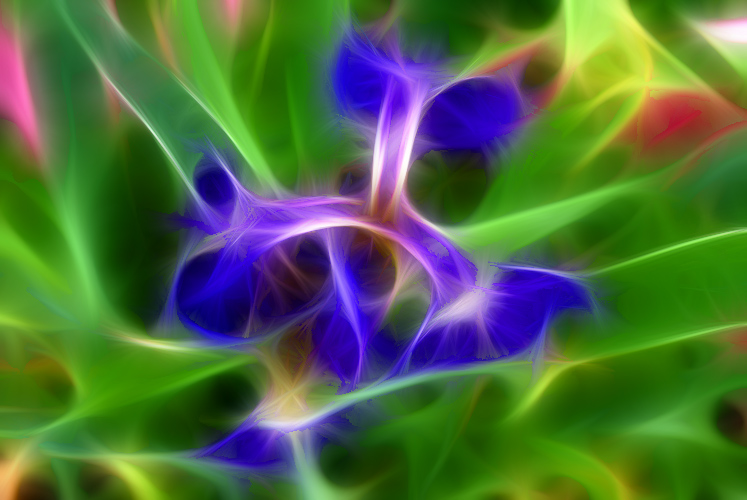 Лунный цветок