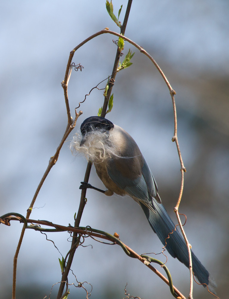 Для дома, для семьи