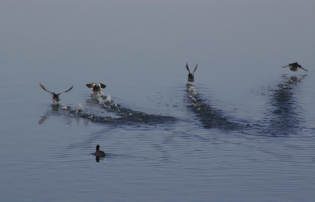 Нас не догонишь!