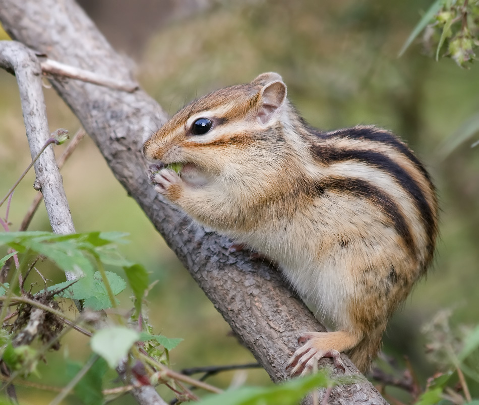 Легкий завтрак
