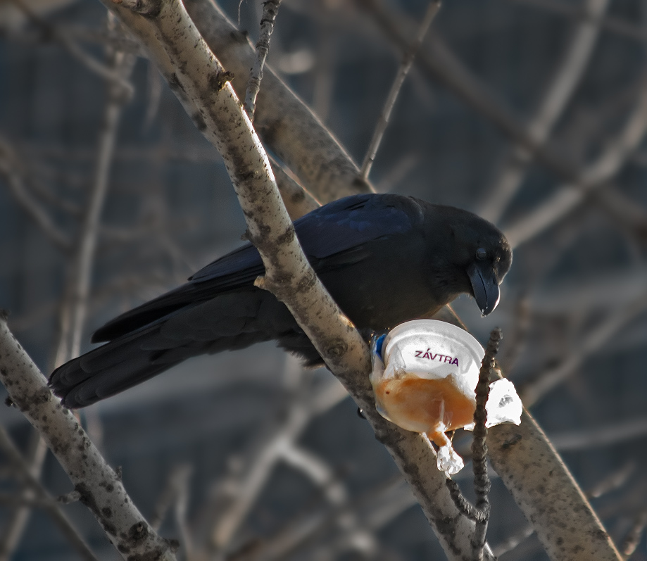 ПоZAVTRAкать совсем уж было собралась....