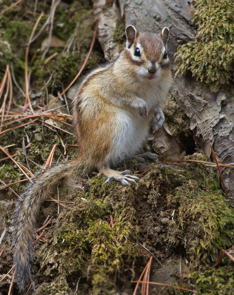 А вы к нам по какому вопросу?