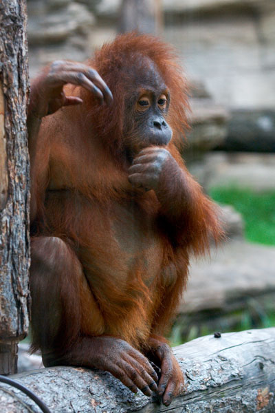 после обеда