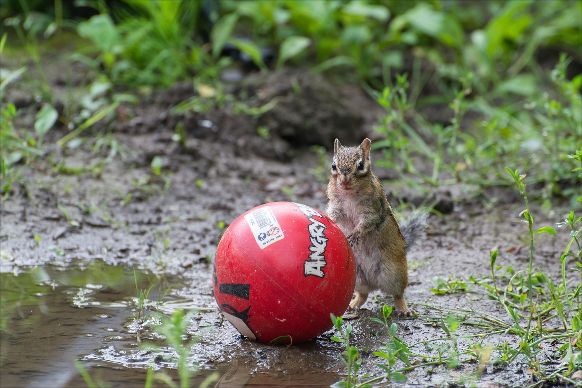 Поклонница футбола