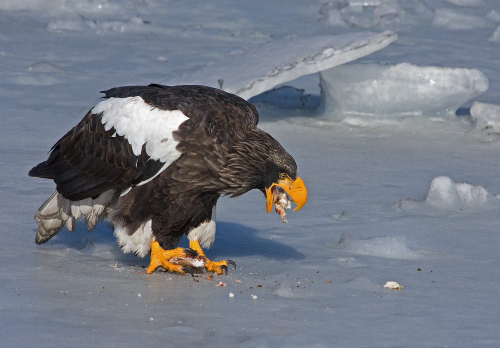 Завтрак "туриста"