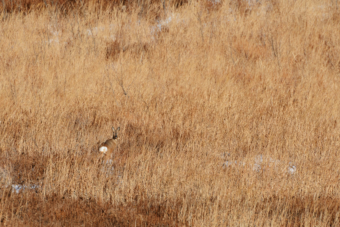Знакомство