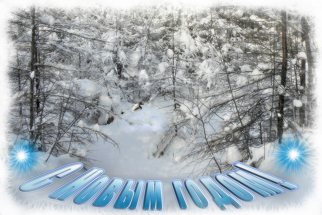 Найди меня :)