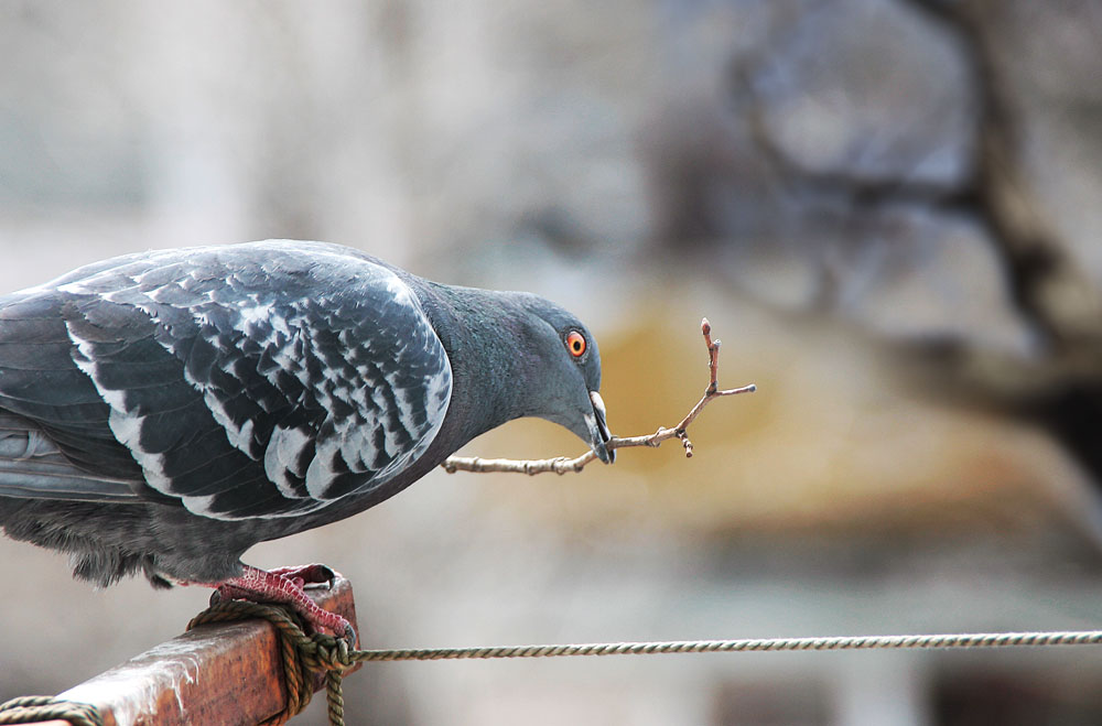 весенний субботник