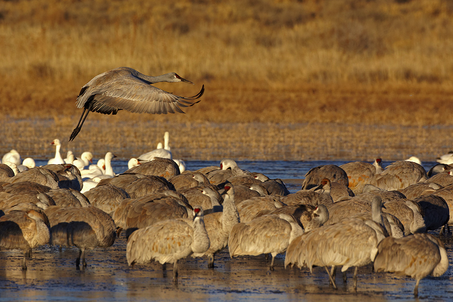 Благослoвляю вас...!