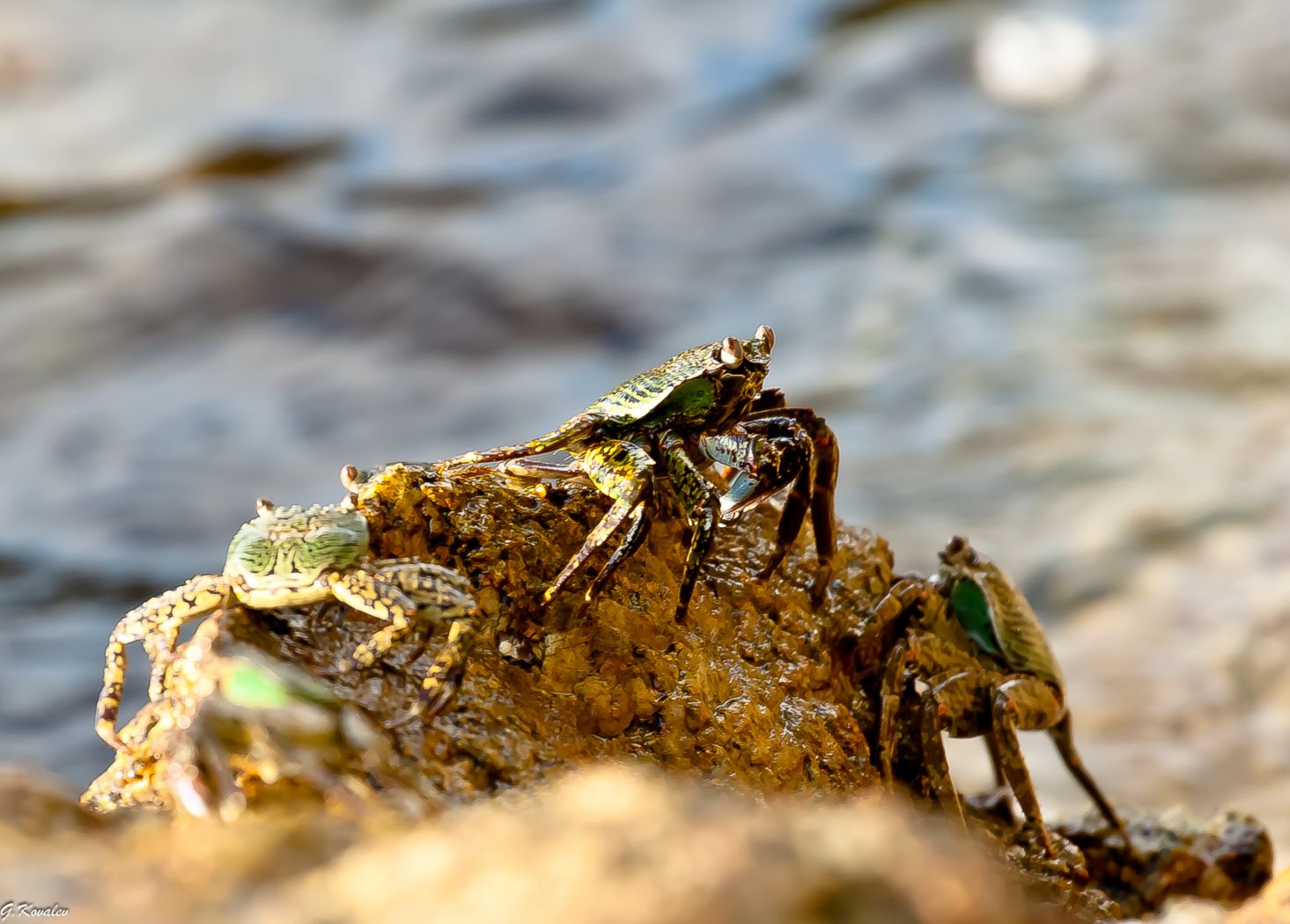 Царь горы...