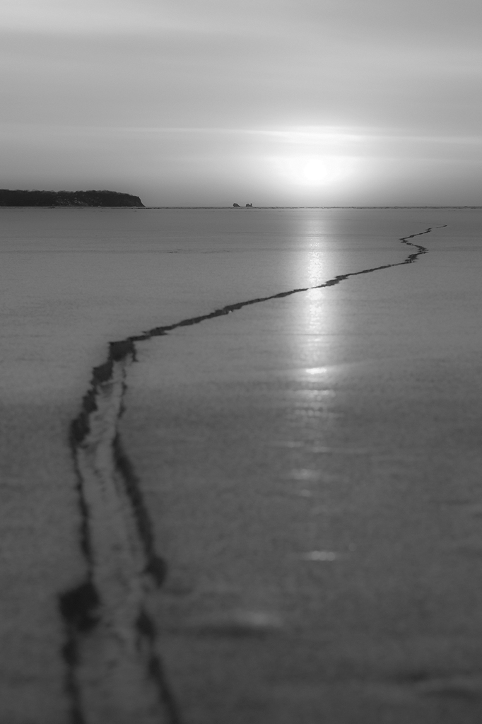 Ледниковый период