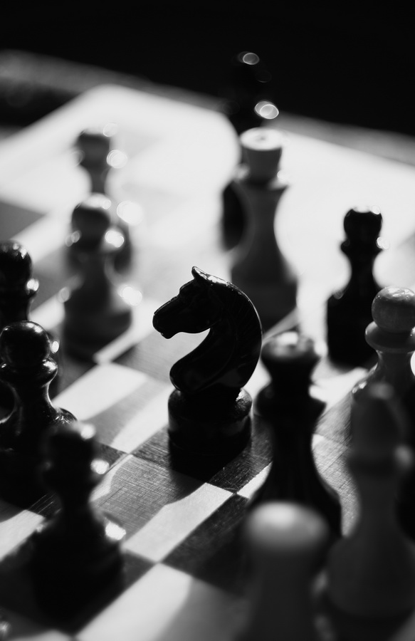 В гостях у шахмат