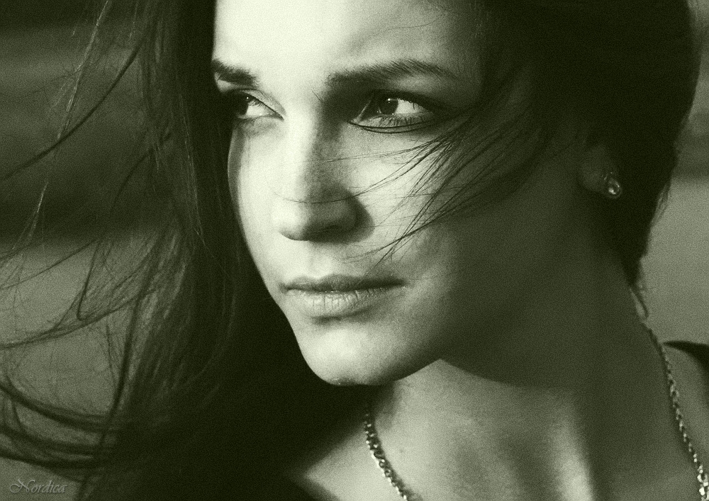 Вечерний бриз