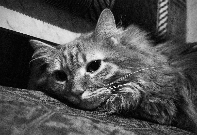 размышления