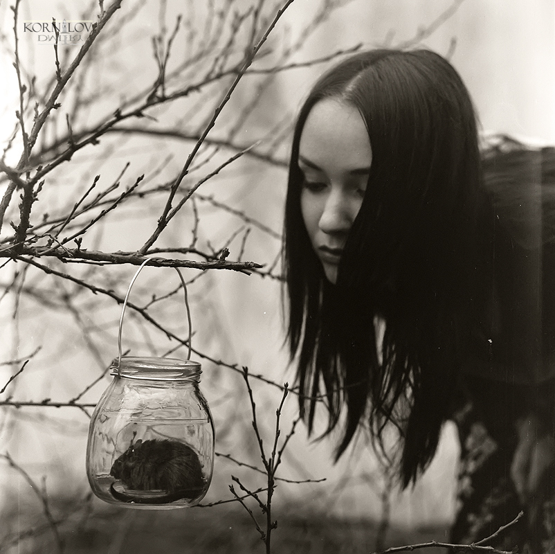 портрет мыши в банке