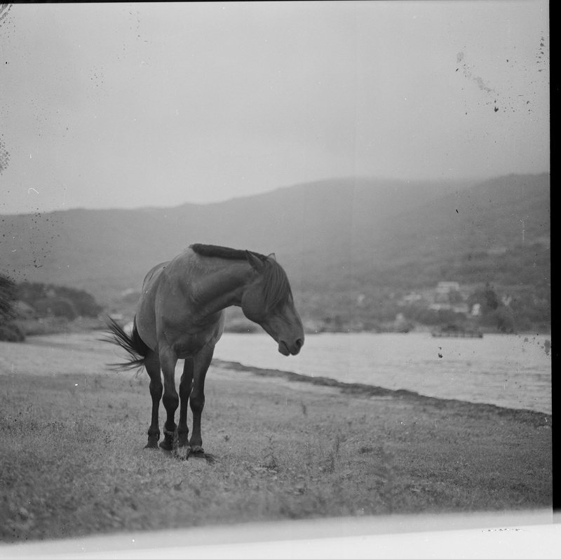 берем что-то с чем-то, кладем в большое ведро