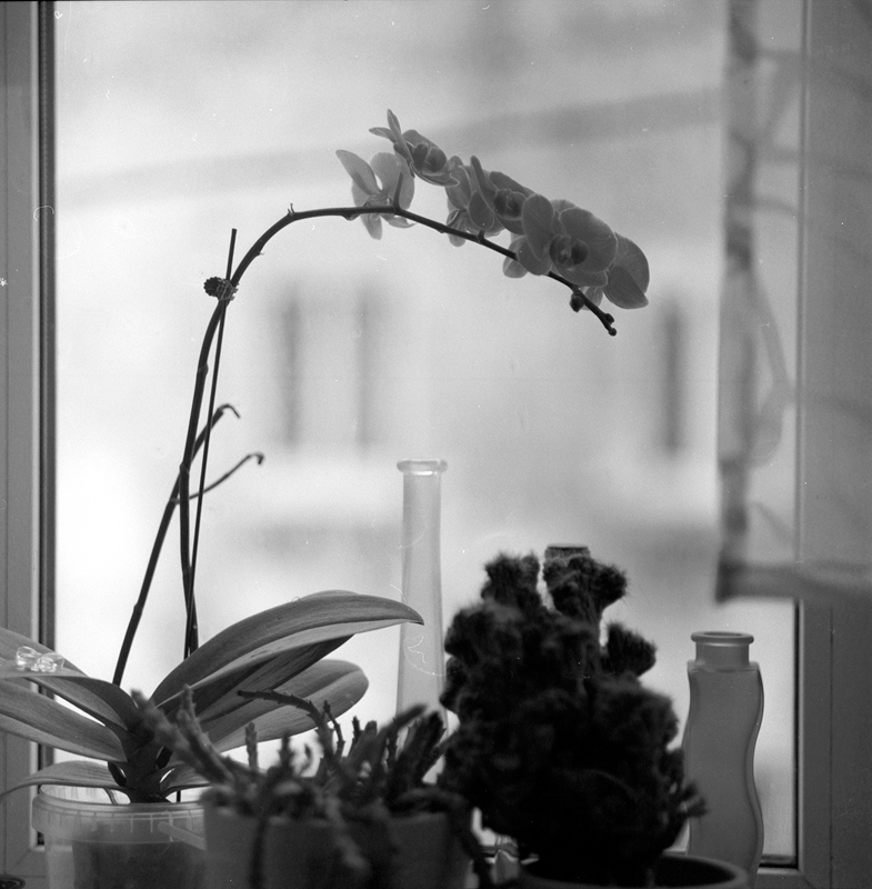 конфетно-букетный период