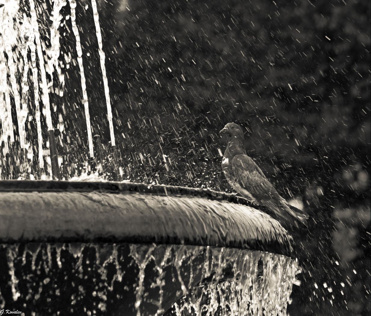 Водные процедуры...