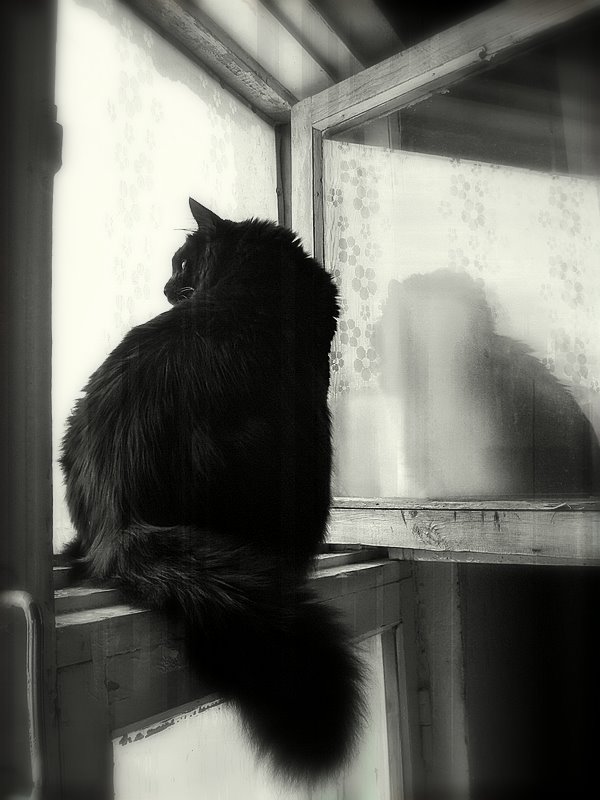 "....а за окном шел дождь.."