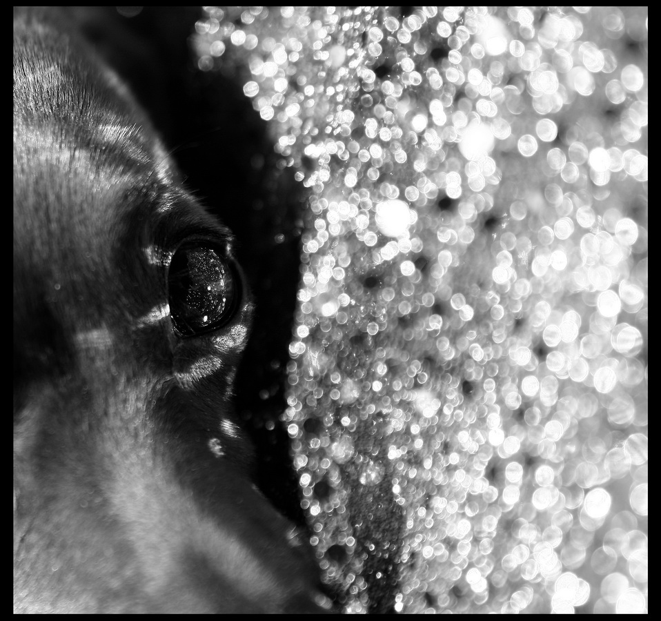 Иная галактика....