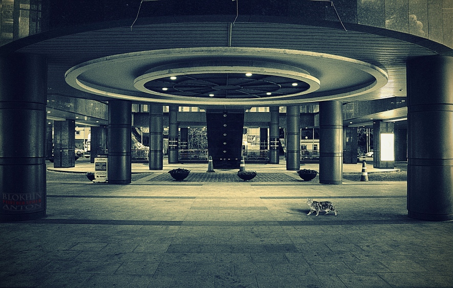 Тихой ночью...