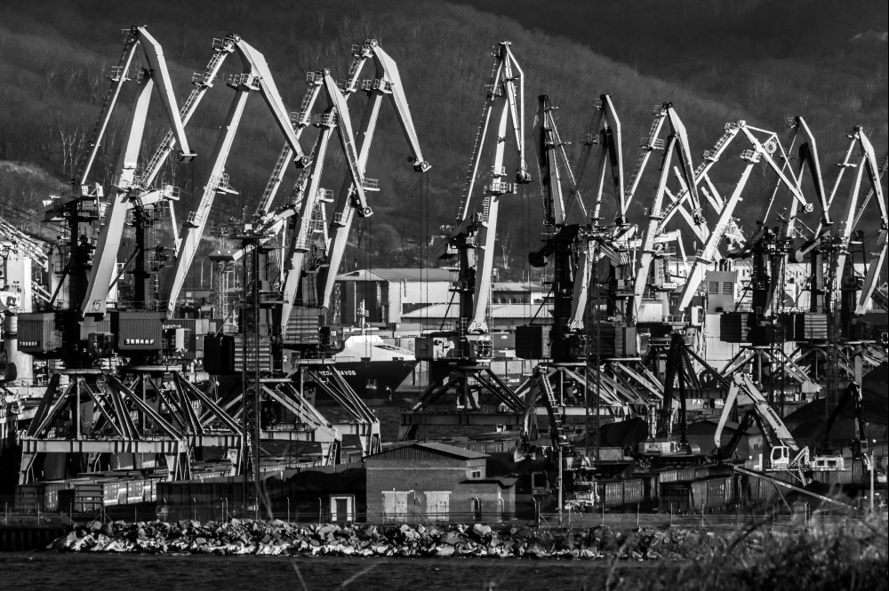 стальные цапли