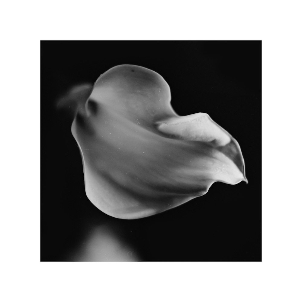 Линии & Изгибы