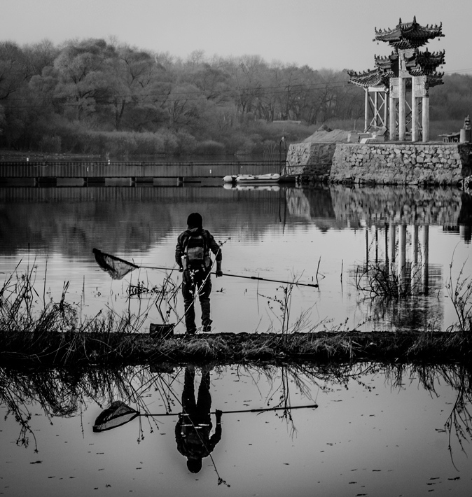 ...а бабочек нет