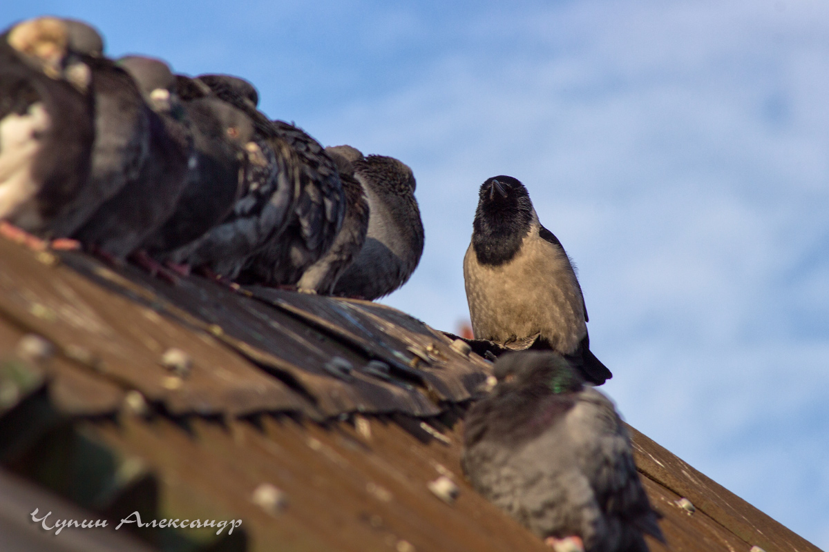 Дружный колектив