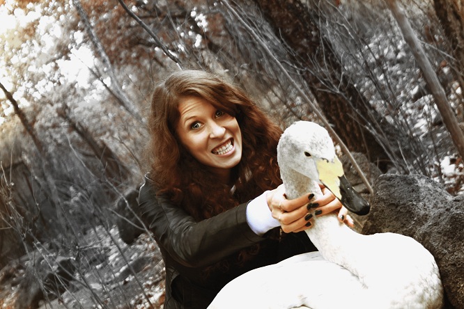 Лебединая песенка спета