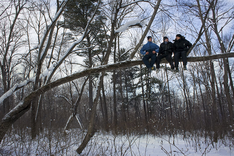 Снегири прилетели...