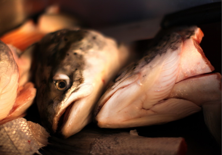 Дорогая, мне очень жаль...