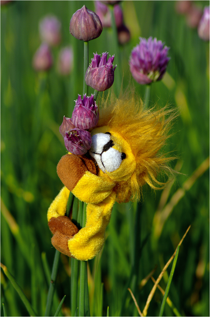 Это всё моё