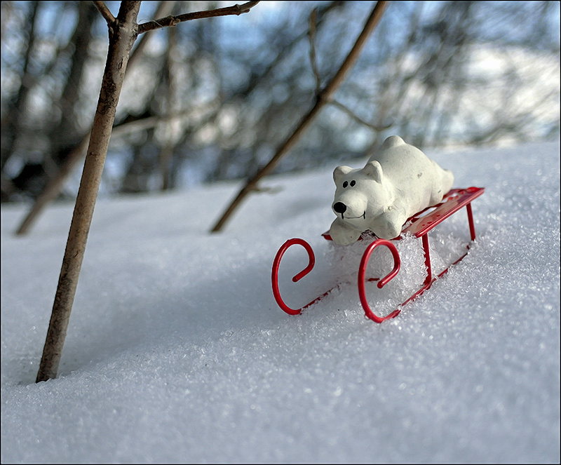 Последний(в этом году)заезд...