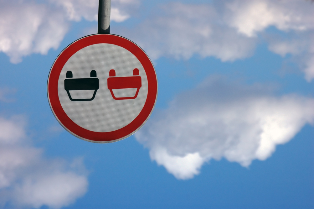 лягушки-путешественницы