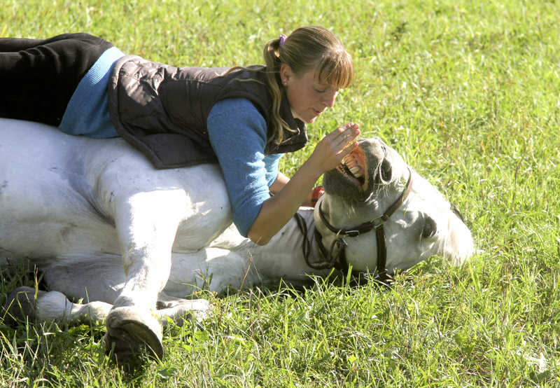 От улыбки,станет всем светлей!