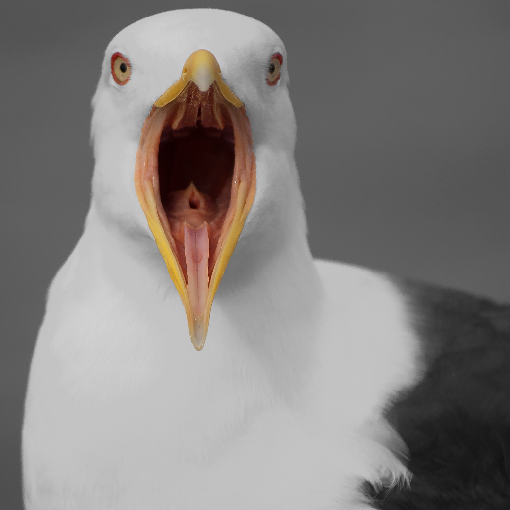 Соло на леере.