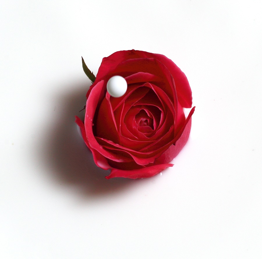 "Кровь с молоком"