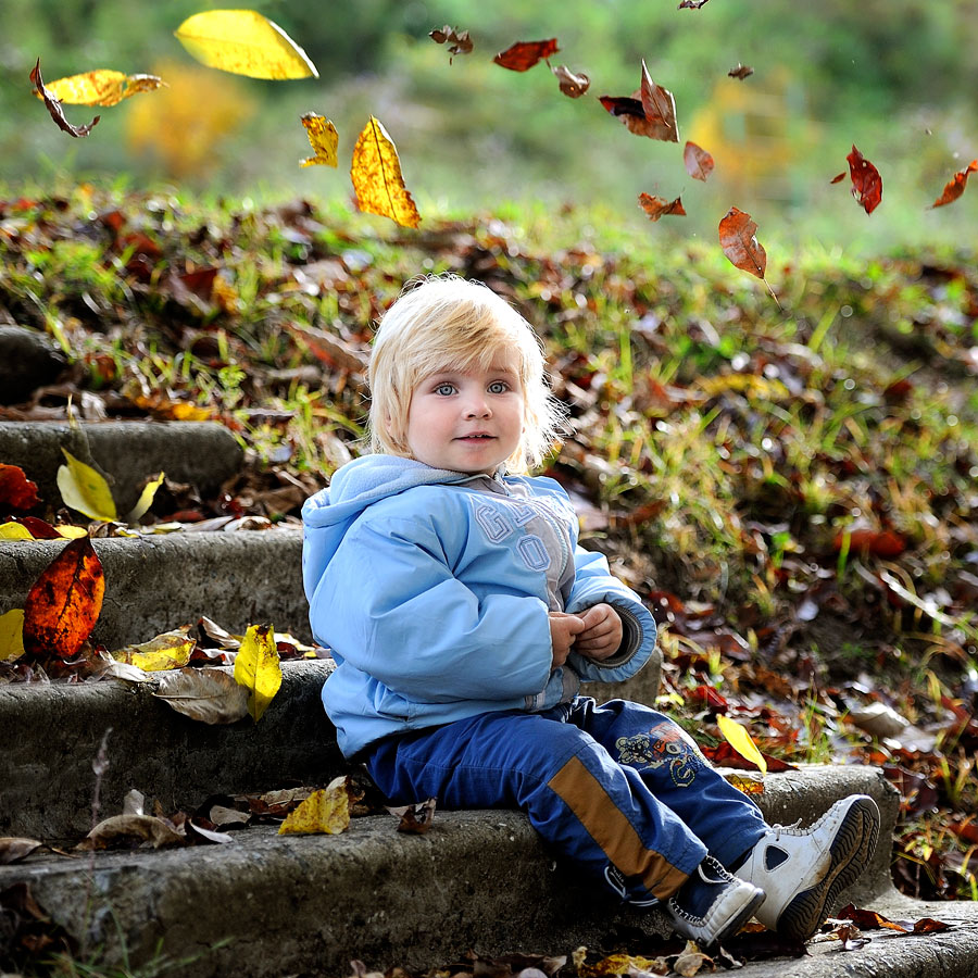 Старый знакомый
