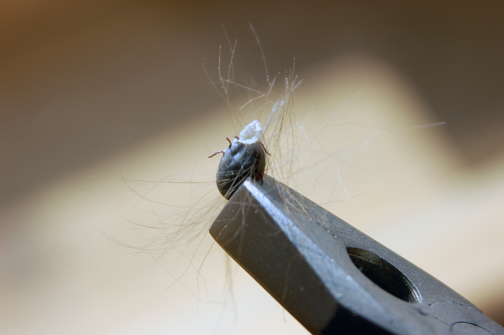 так будет с каждой...)