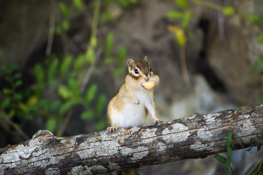 "Ой, меня кажется "спалили"!