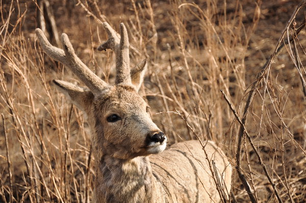 ты меня понимаешь???