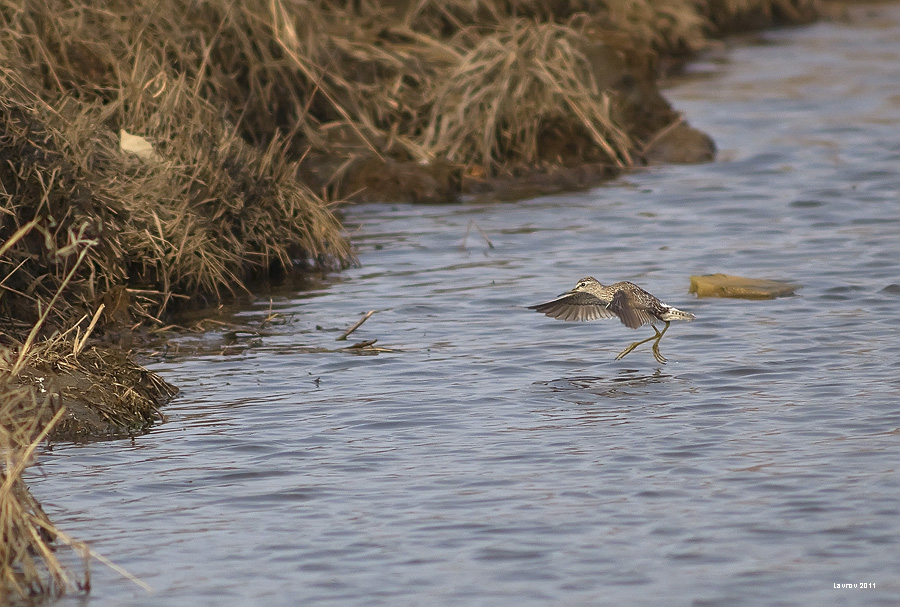 "цыганочка с выходом "