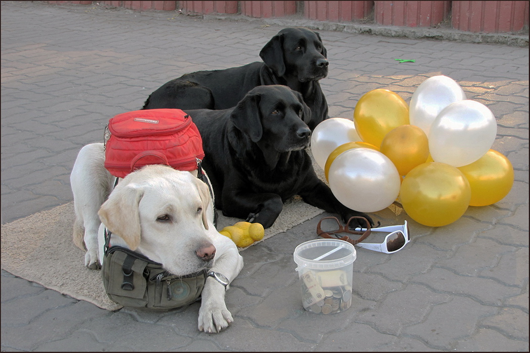 Мы бродячие артисты...