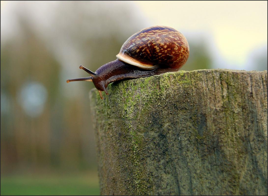 Заглянуть за край